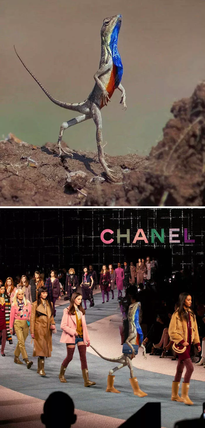 Les montages photo les plus droles du monde - #2 