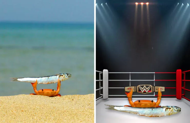 The funniest photo edits in the world