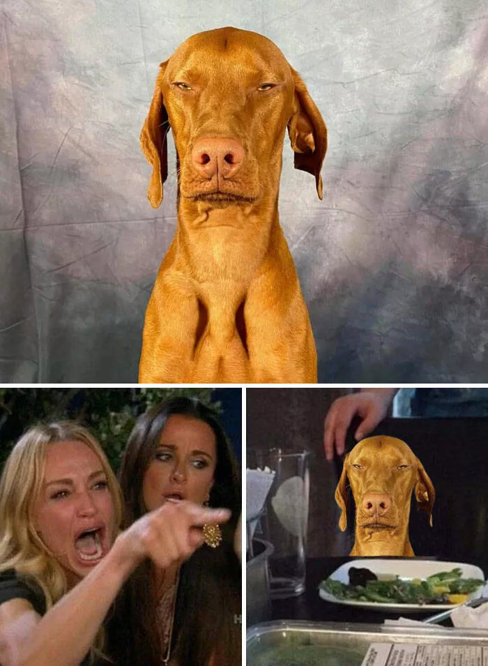 The funniest photo edits in the world - #24 