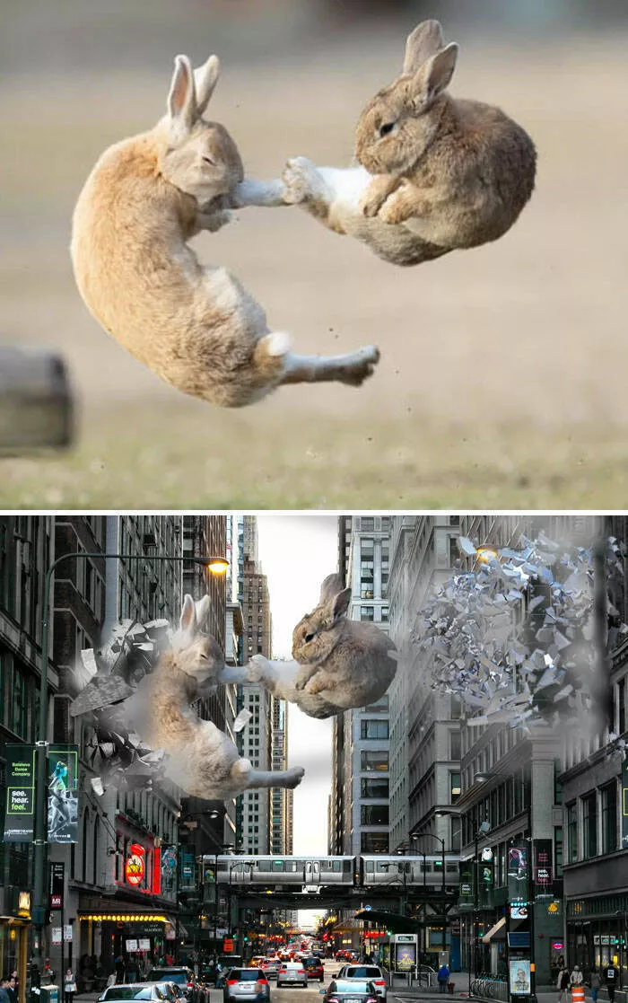 The funniest photo edits in the world - #25 