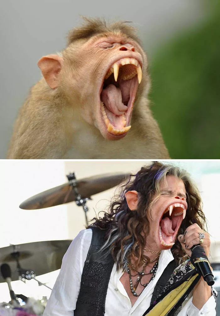 The funniest photo edits in the world - #3 