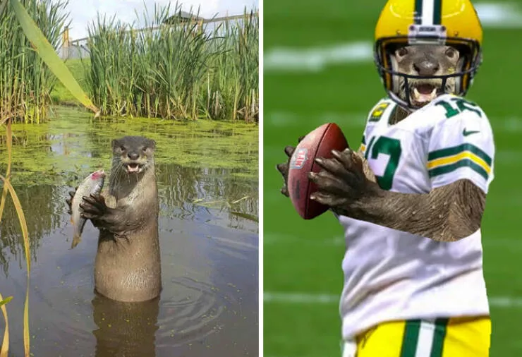 The funniest photo edits in the world - #32 