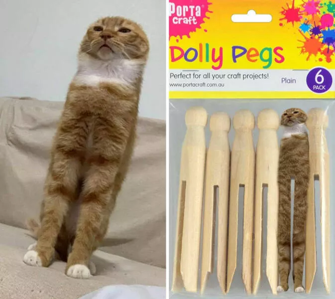 The funniest photo edits in the world - #36 
