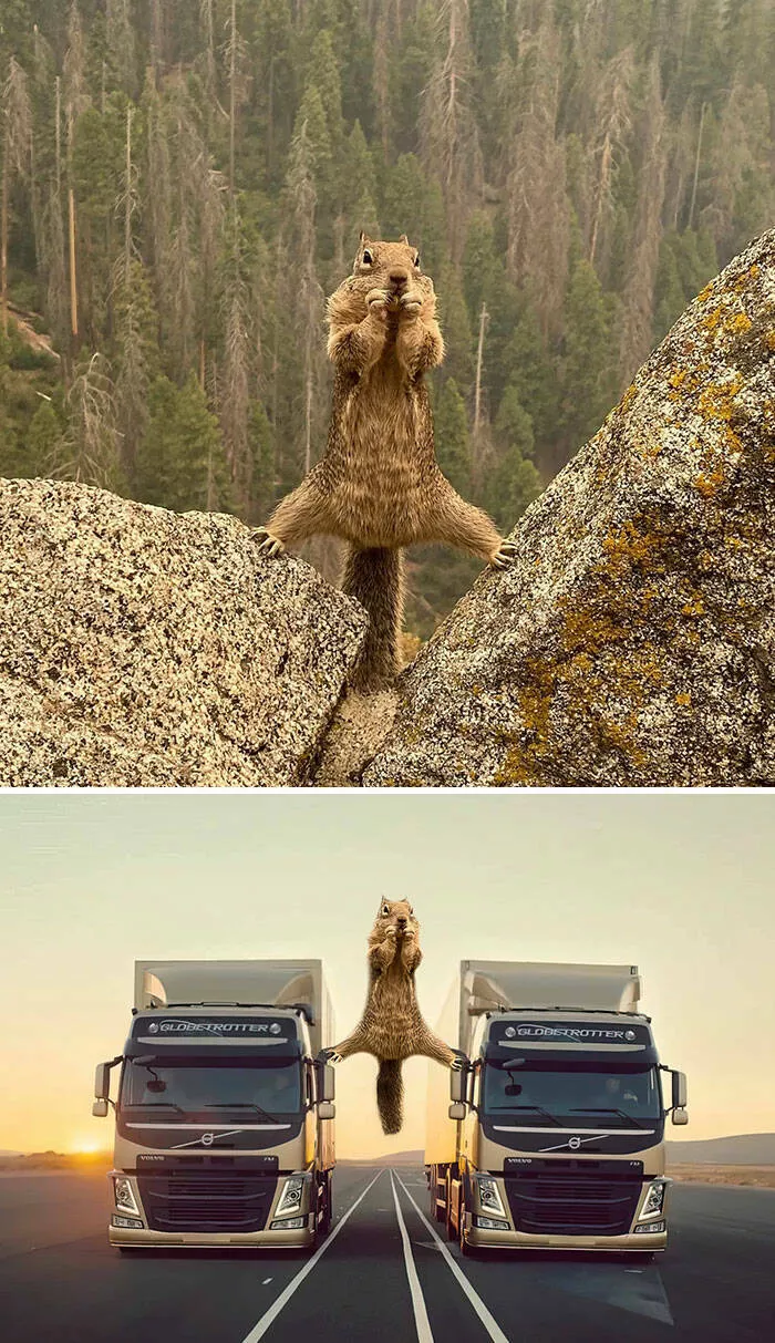 The funniest photo edits in the world - #37 