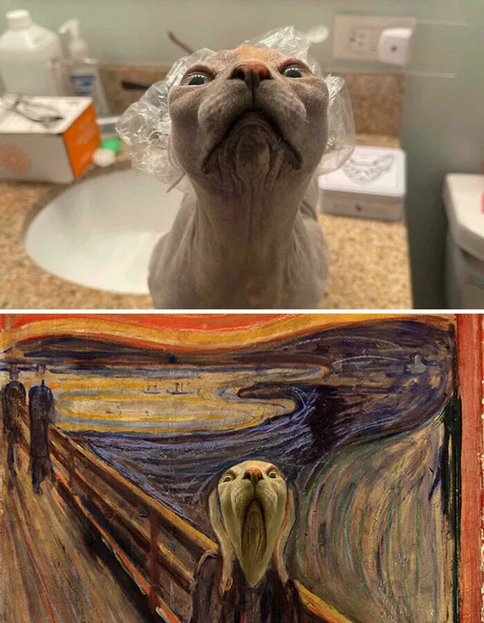 The funniest photo edits in the world - #39 