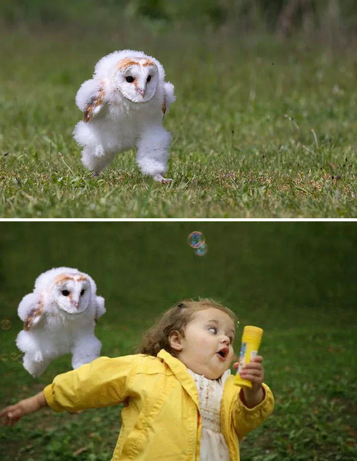 The funniest photo edits in the world - #4 
