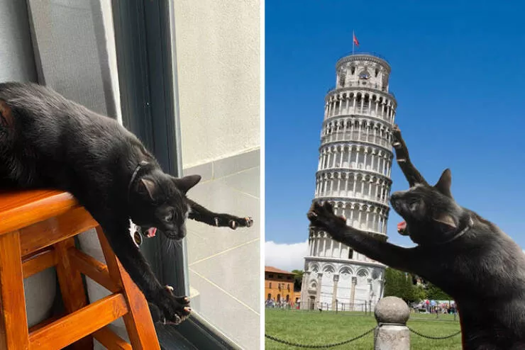 The funniest photo edits in the world - #44 