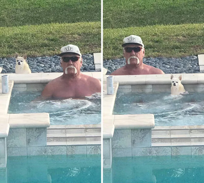 The funniest photo edits in the world - #46 