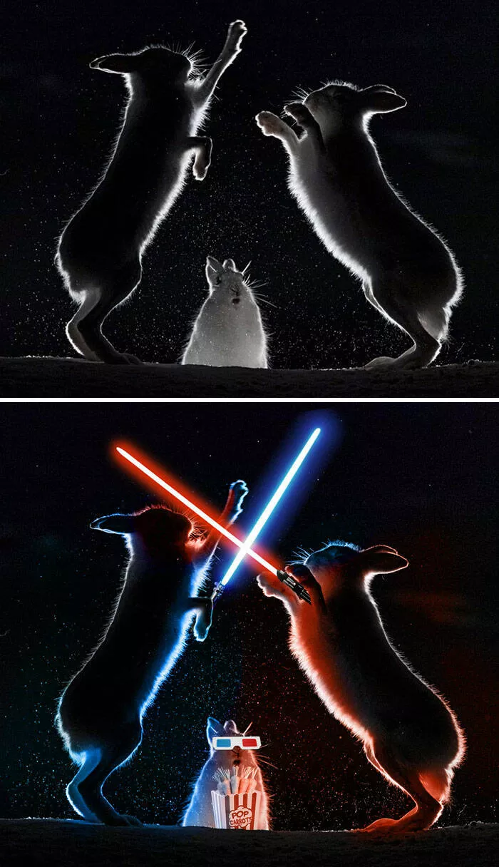 The funniest photo edits in the world - #6 