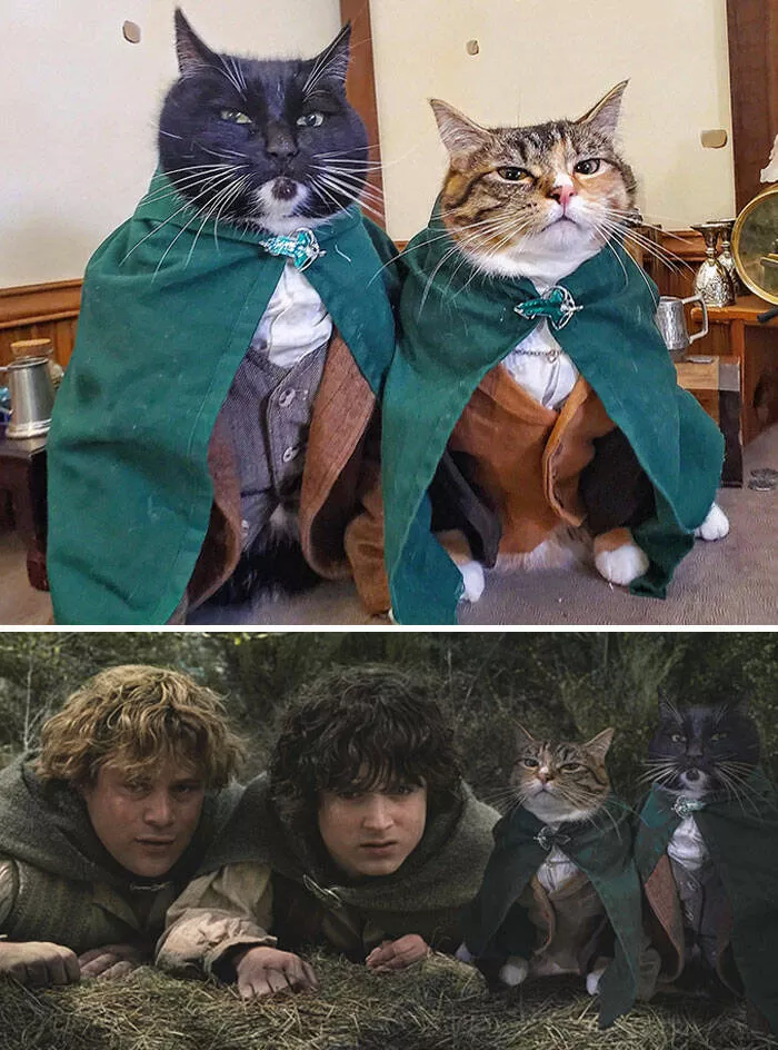 The funniest photo edits in the world - #7 