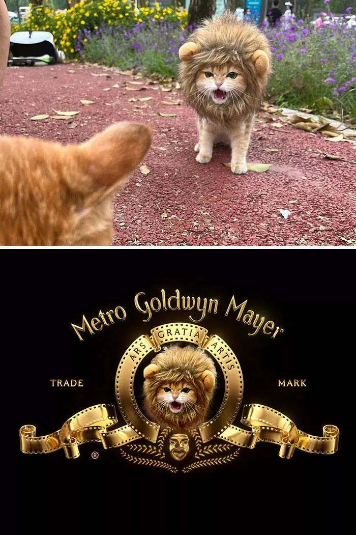 The funniest photo edits in the world - #8 