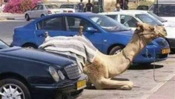 Picdump 732 - #12 