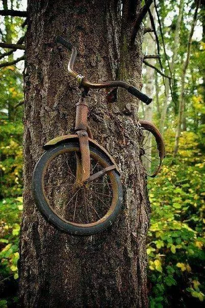 Picdump 732 - #29 