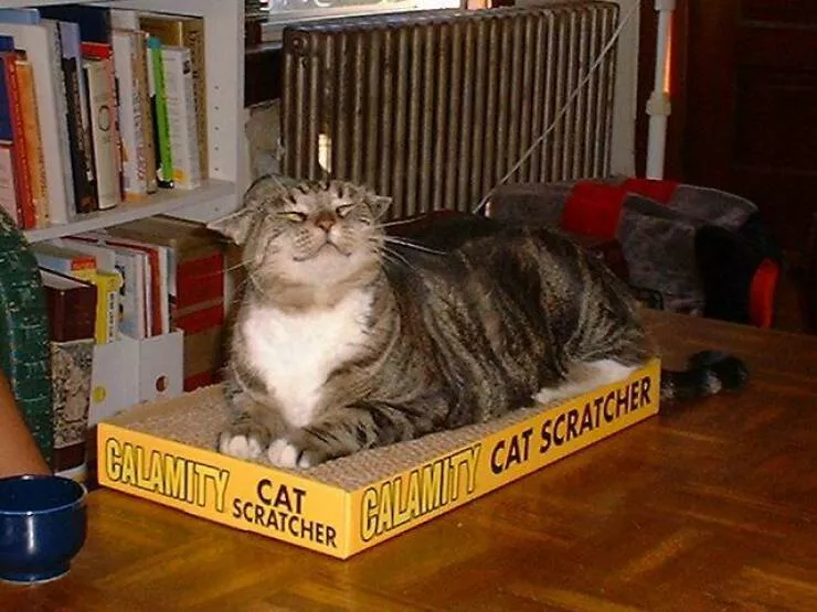 Picdump 732 - #38 