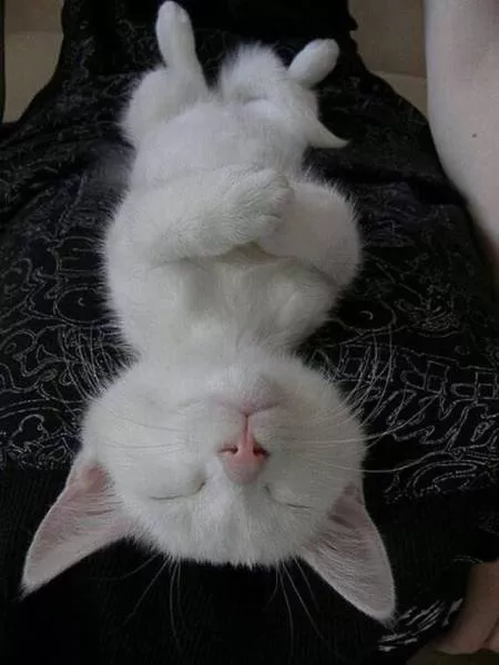 Picdump 103 - #13 