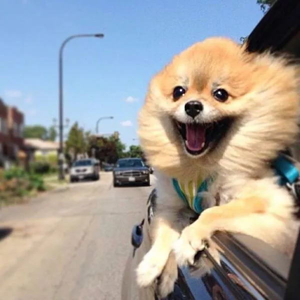 Picdump 103 - #36 