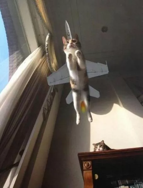 Picdump 103 - #44 