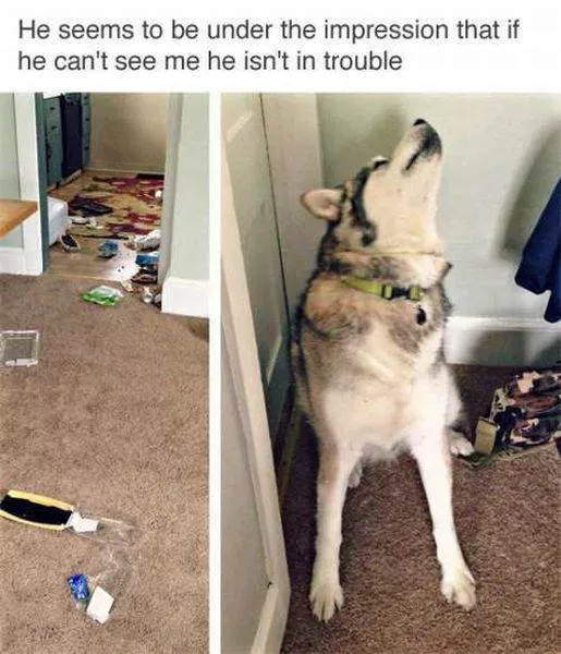 Picdump 103 - #46 
