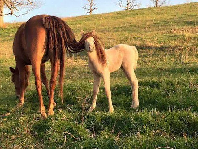 Picdump 103 - #67 