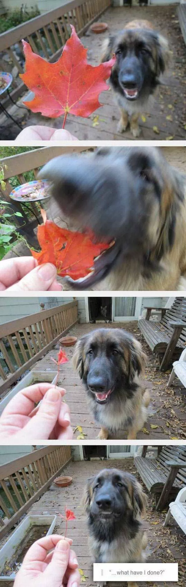 Picdump 103 - #74 