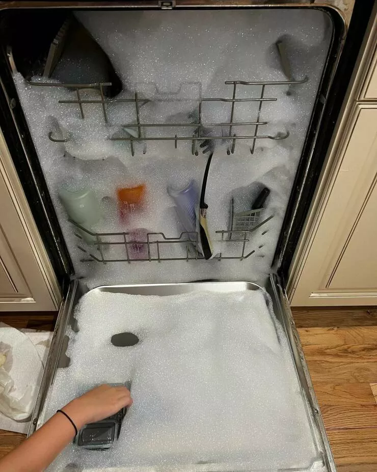 Picdump 733 - #19 