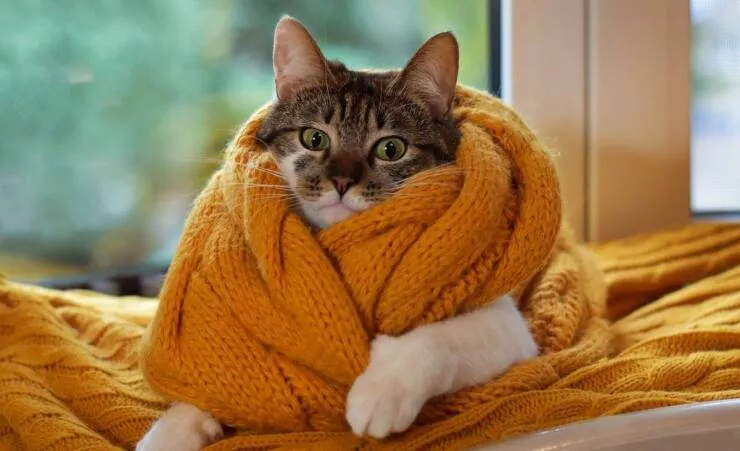 Picdump 733 - #23 