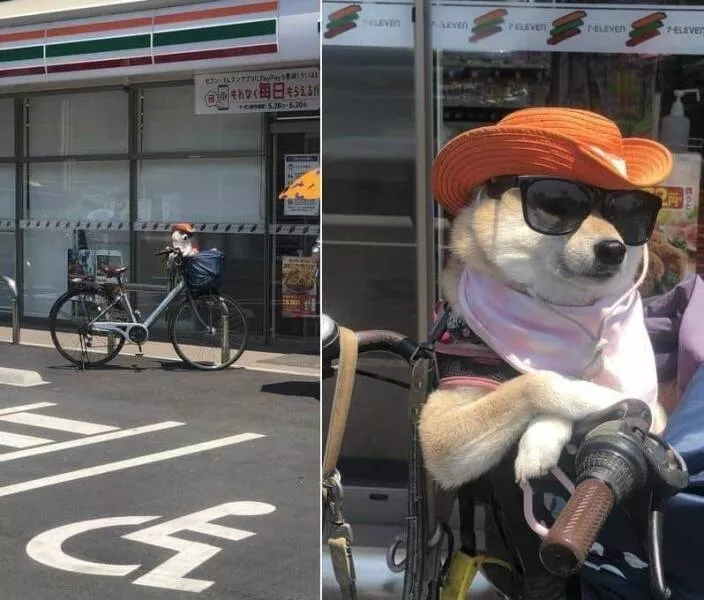 Picdump 733 - #27 