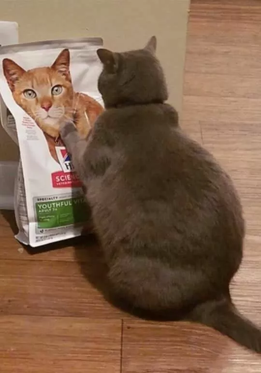Picdump 733 - #56 