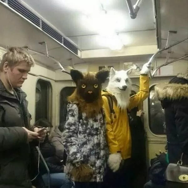 Picdump 733 - #8 