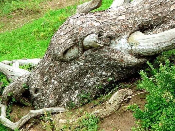 Picdump 736 - #50 