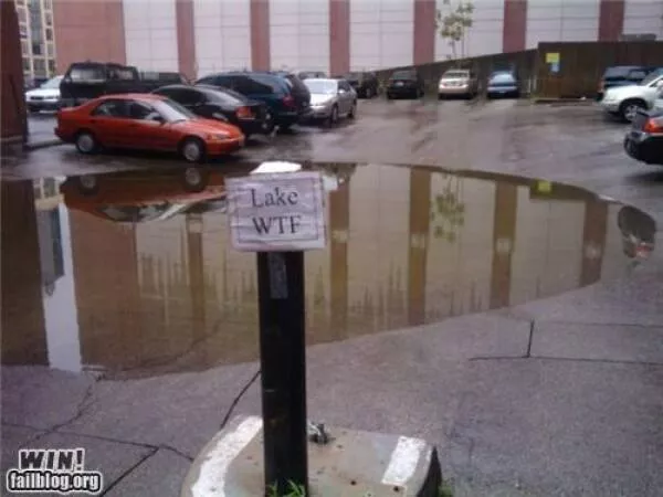 Picdump 737 - #38 