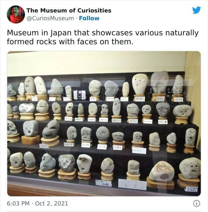 Curiosites des musees - #17 