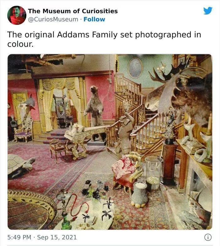 Museum curiosities