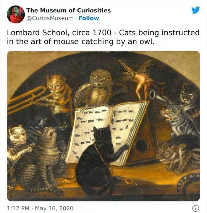 Museum curiosities - #35 