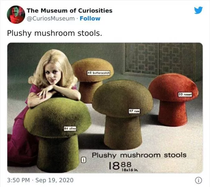 Curiosites des musees - #49 