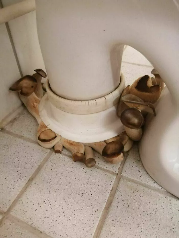 Days of a plumber - #29 