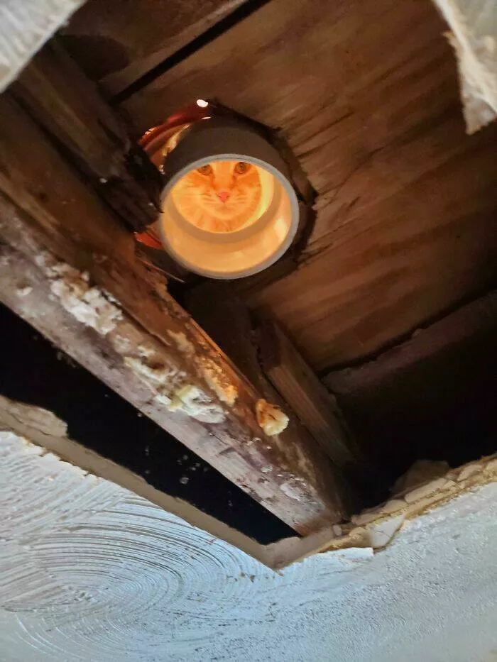 Days of a plumber