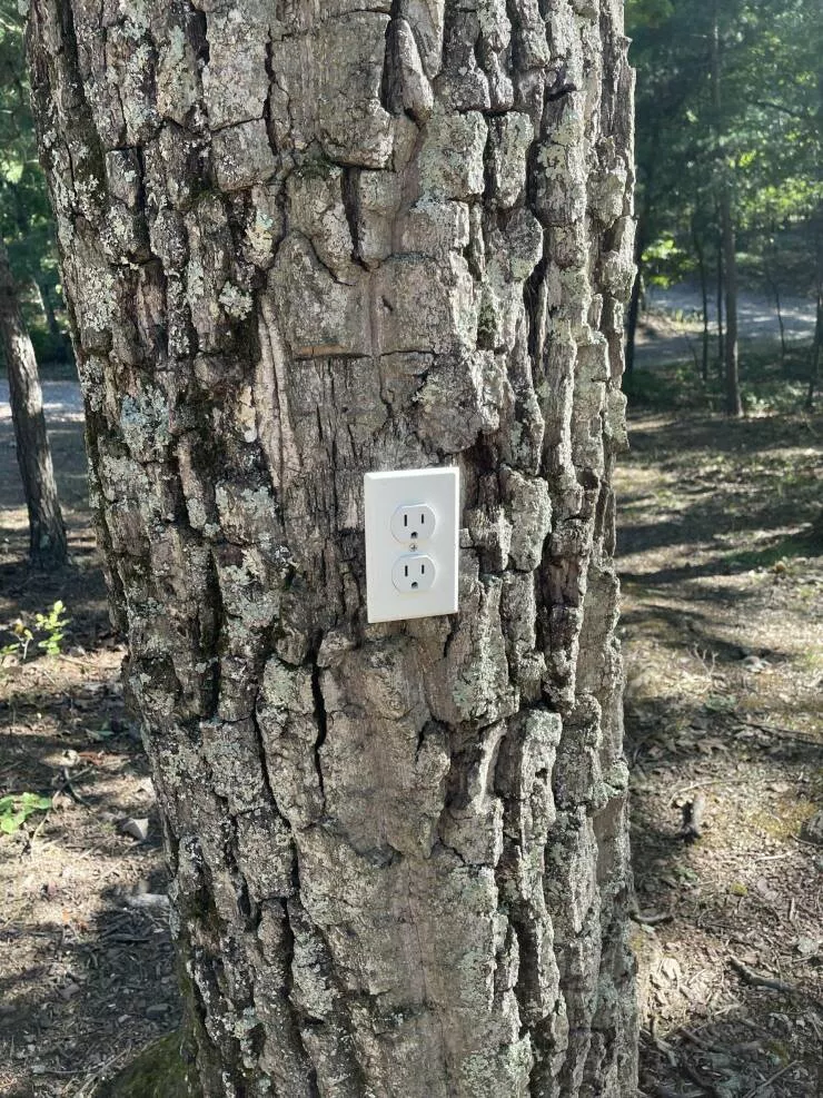 Picdump 739 - #11 