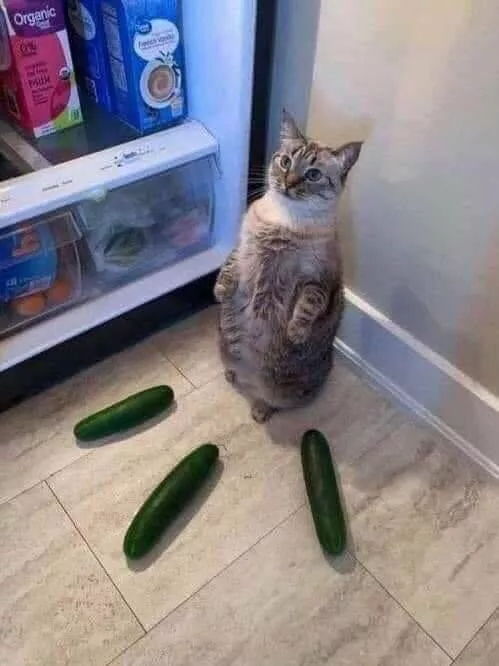Picdump 739 - #27 