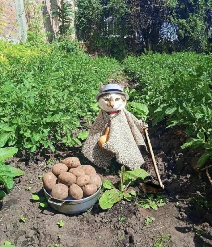 Picdump 739 - #4 