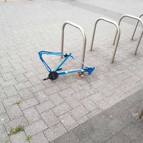 Picdump 739 - #41 