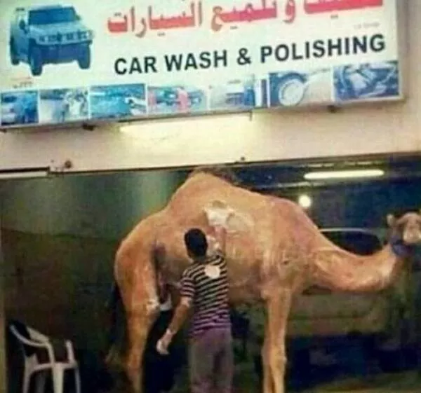 Picdump 739 - #43 