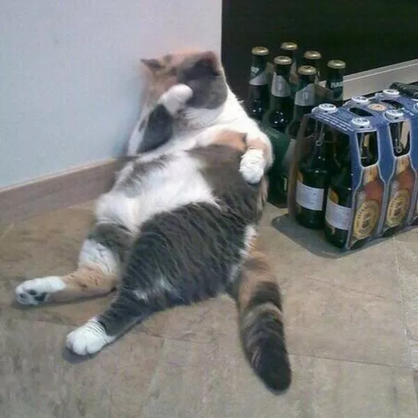 Picdump 739 - #8 