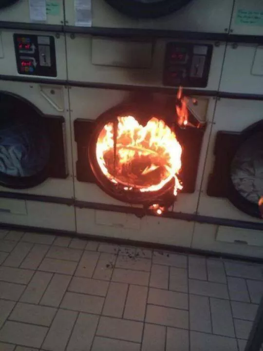 Picdump 740 - #18 