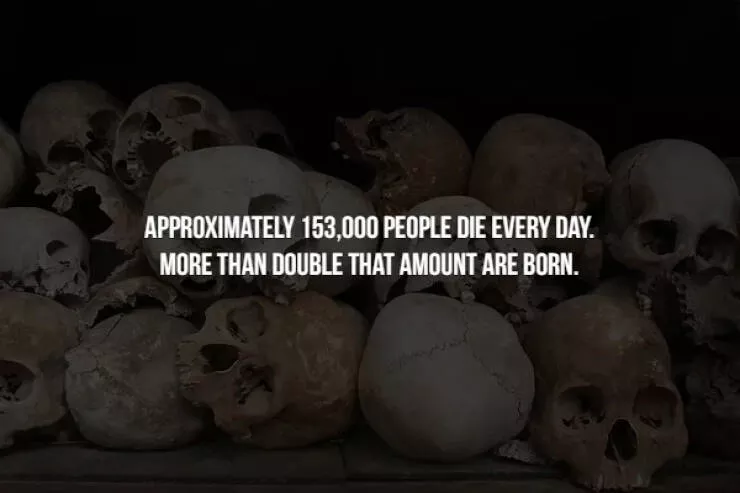 Creepy facts
