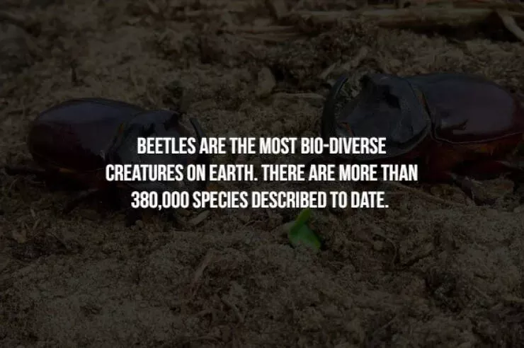 Creepy facts - #12 