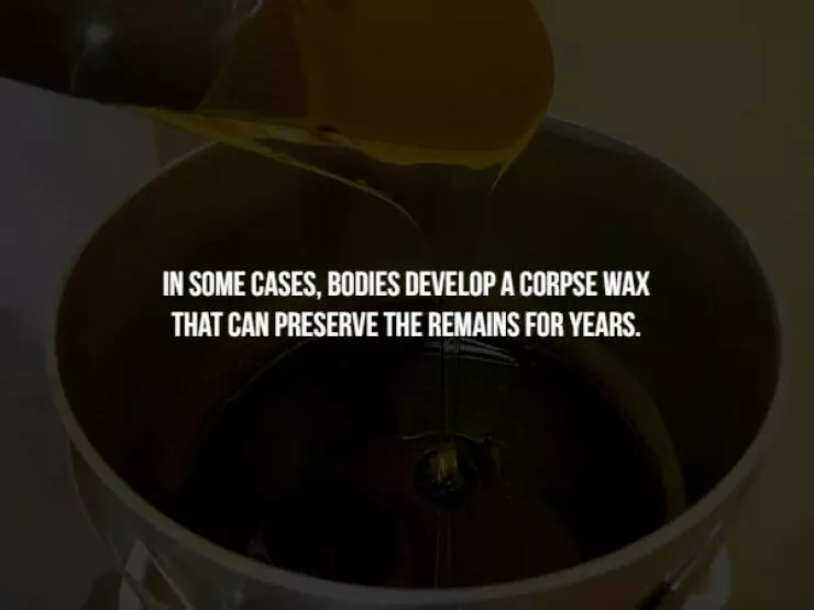 Creepy facts - #13 