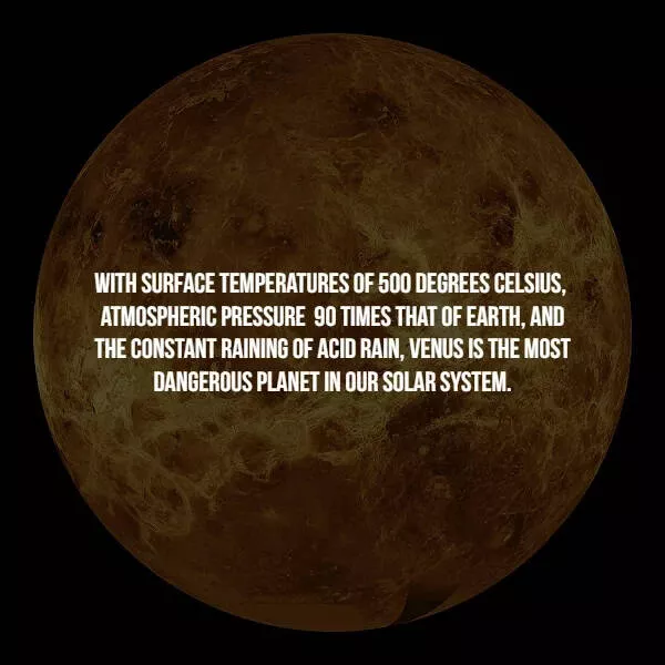 Creepy facts - #14 