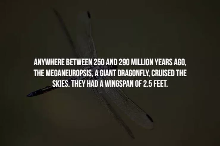 Creepy facts - #2 