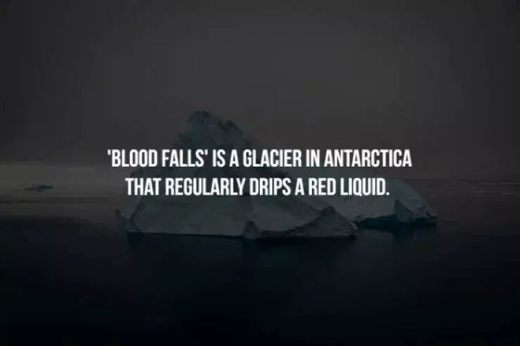 Creepy facts - #21 
